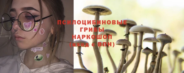 ешки Белоозёрский