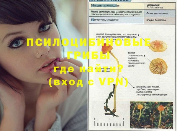 ешки Белоозёрский