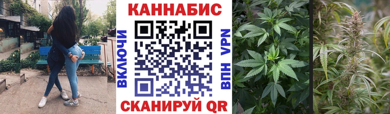 МАРИХУАНА SATIVA & INDICA  Ворсма 